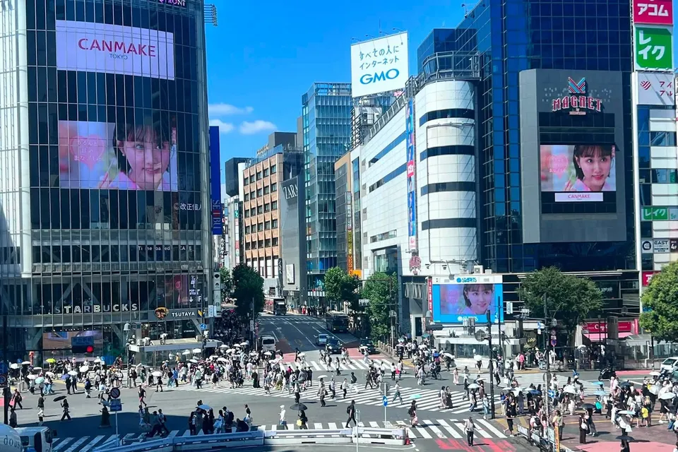Full Day Tokyo City Tour photo 19