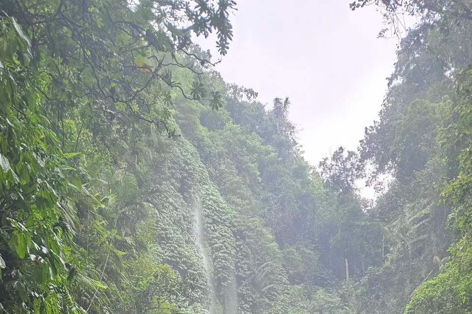 Sekumpul Falls photo 3