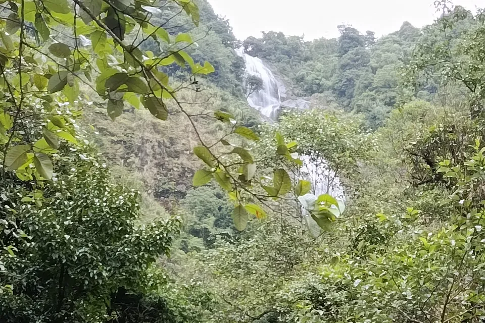 Silver Waterfall photo 7