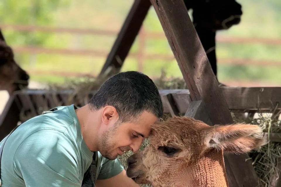 Shamakhi Alpaca Farm photo 4