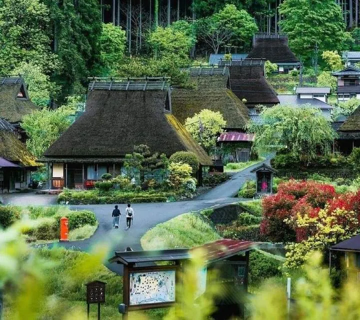 Amanohashidate, Ine Bay And  Miyama Village Full Day Tour photo 7