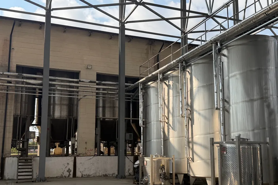Gabala Wine Factory Tour photo 10