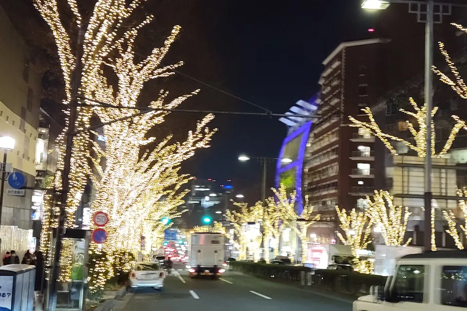 Full Day Tokyo City Tour photo 22
