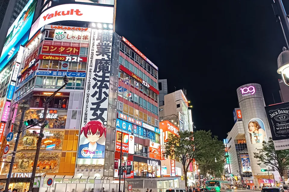 Full Day Tokyo City Tour photo 18