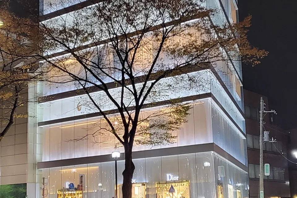 Full Day Tokyo City Tour photo 21