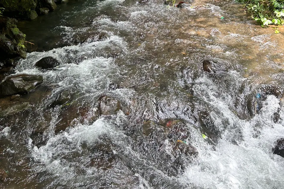 Fiji Waterfall photo 3