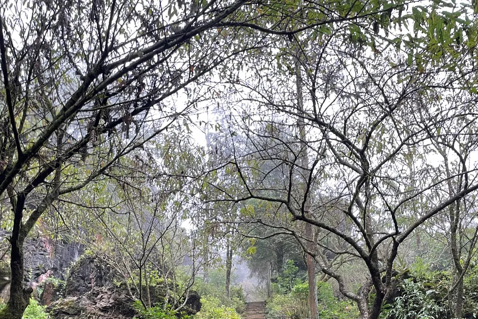 Ham Rong Mountain