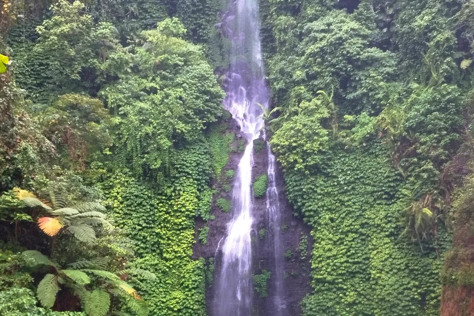 Sekumpul Falls photo 7