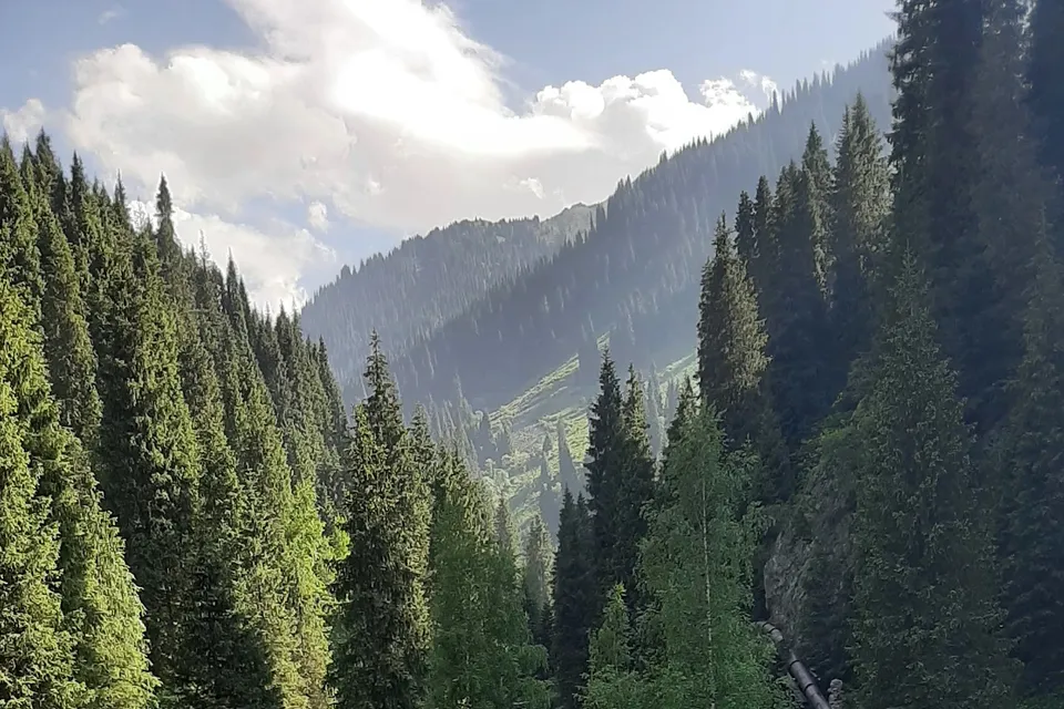 Almarasan, Ayusai & Koktobe Tour