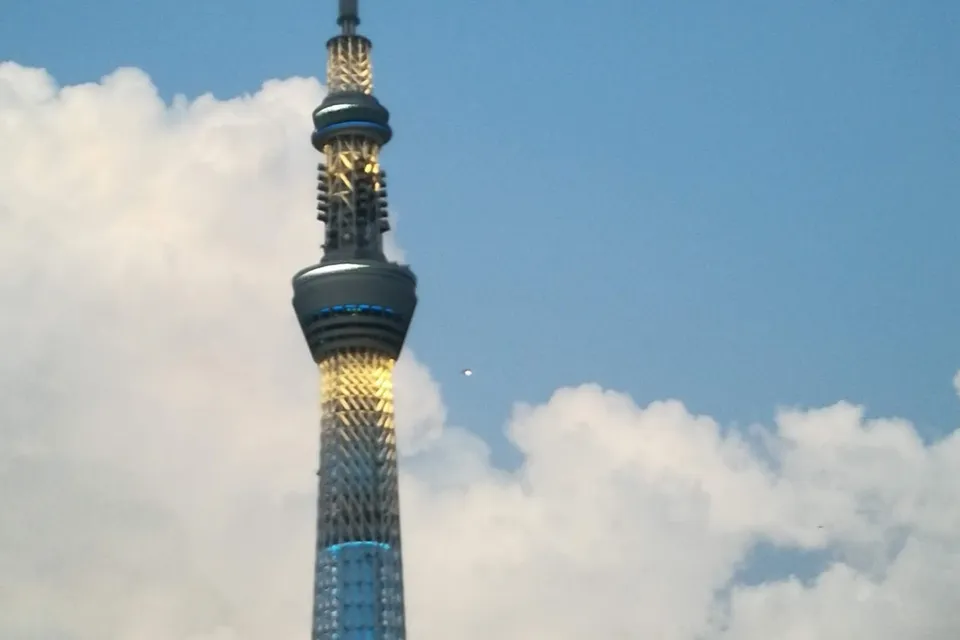Full Day Tokyo City Tour photo 14