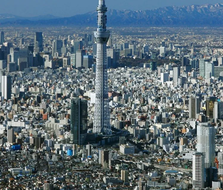 Full Day Tokyo City Tour photo 15