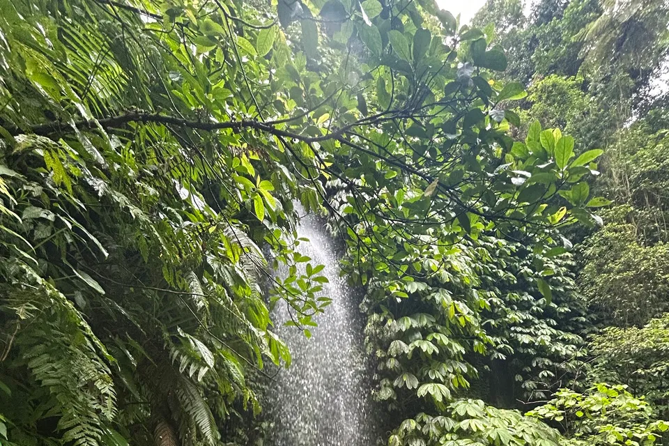 Fiji Waterfall photo 5