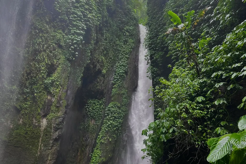 Sekumpul Falls photo 6