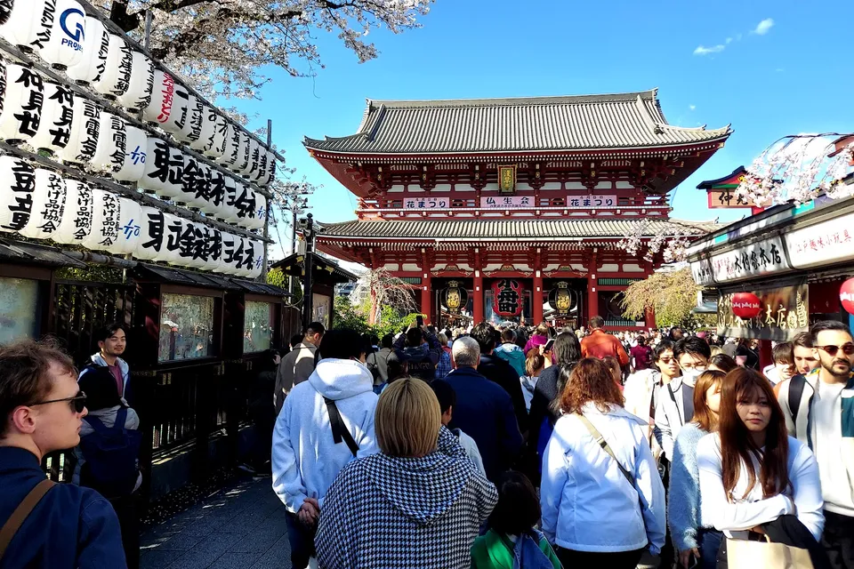 Full Day Tokyo City Tour photo 2
