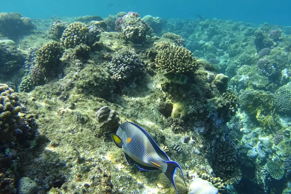 Full Day Island Hopping By Triton