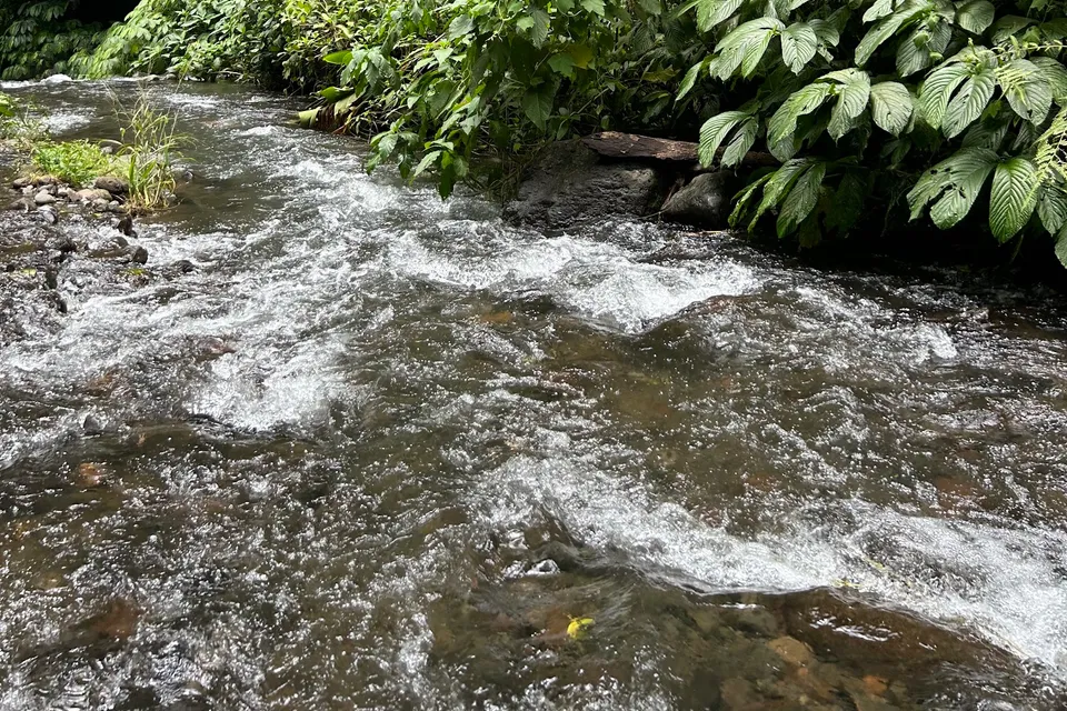 Fiji Waterfall photo 6