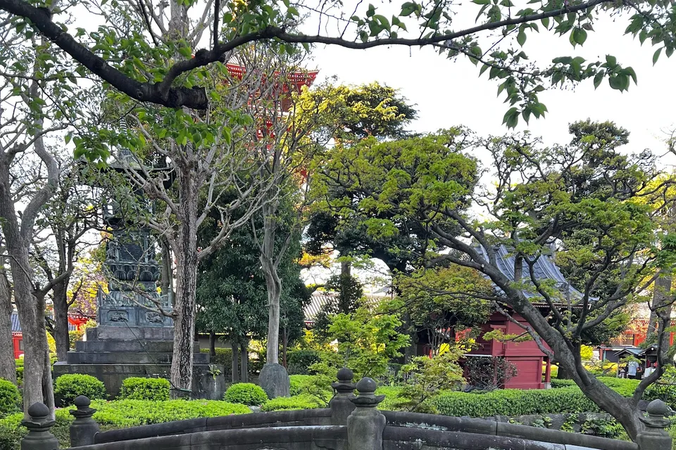 Full Day Tokyo City Tour photo 3