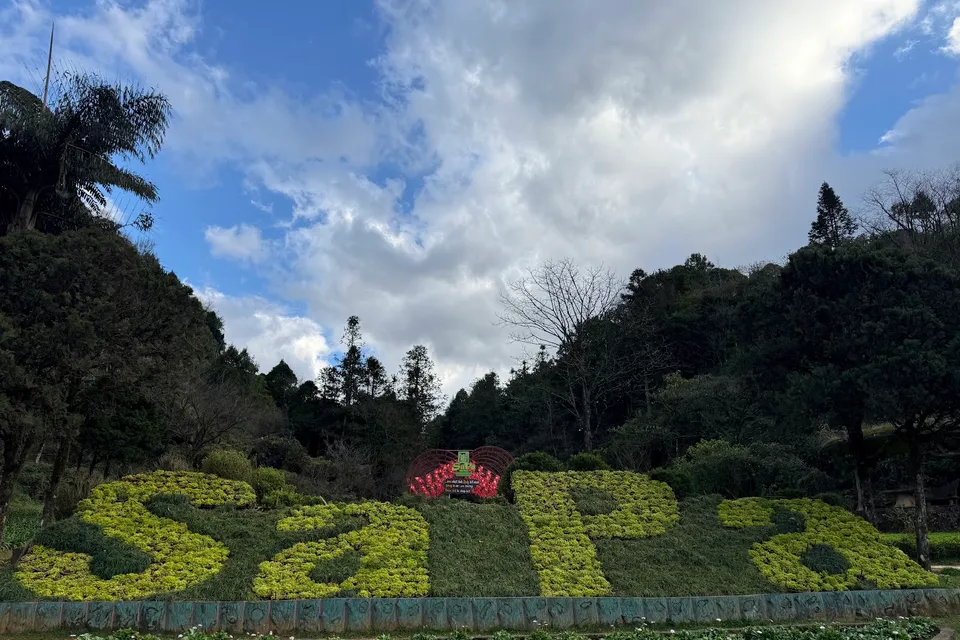 Ham Rong Mountain photo 5
