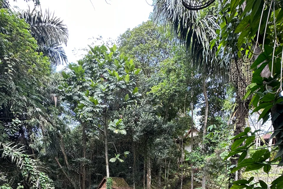 Ubud Heaven Sayan ,Bali