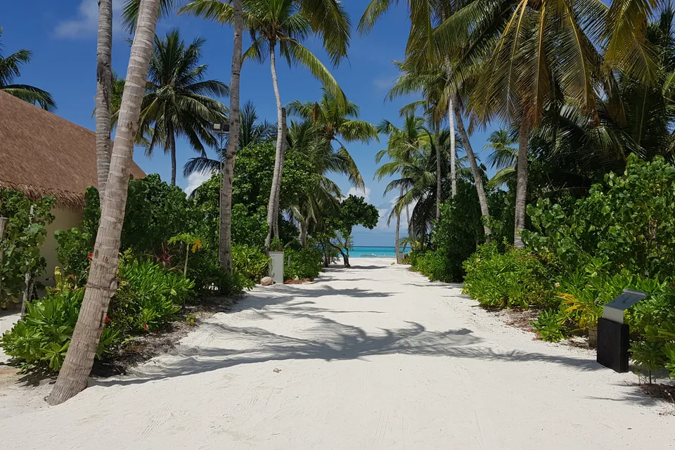Cinnamon Velifushi Maldives