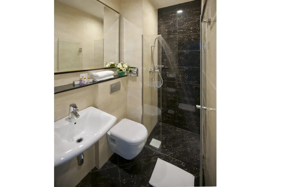 Superior Double Room Only with City View