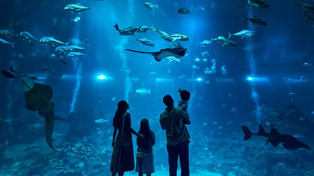 Singapore Oceanarium