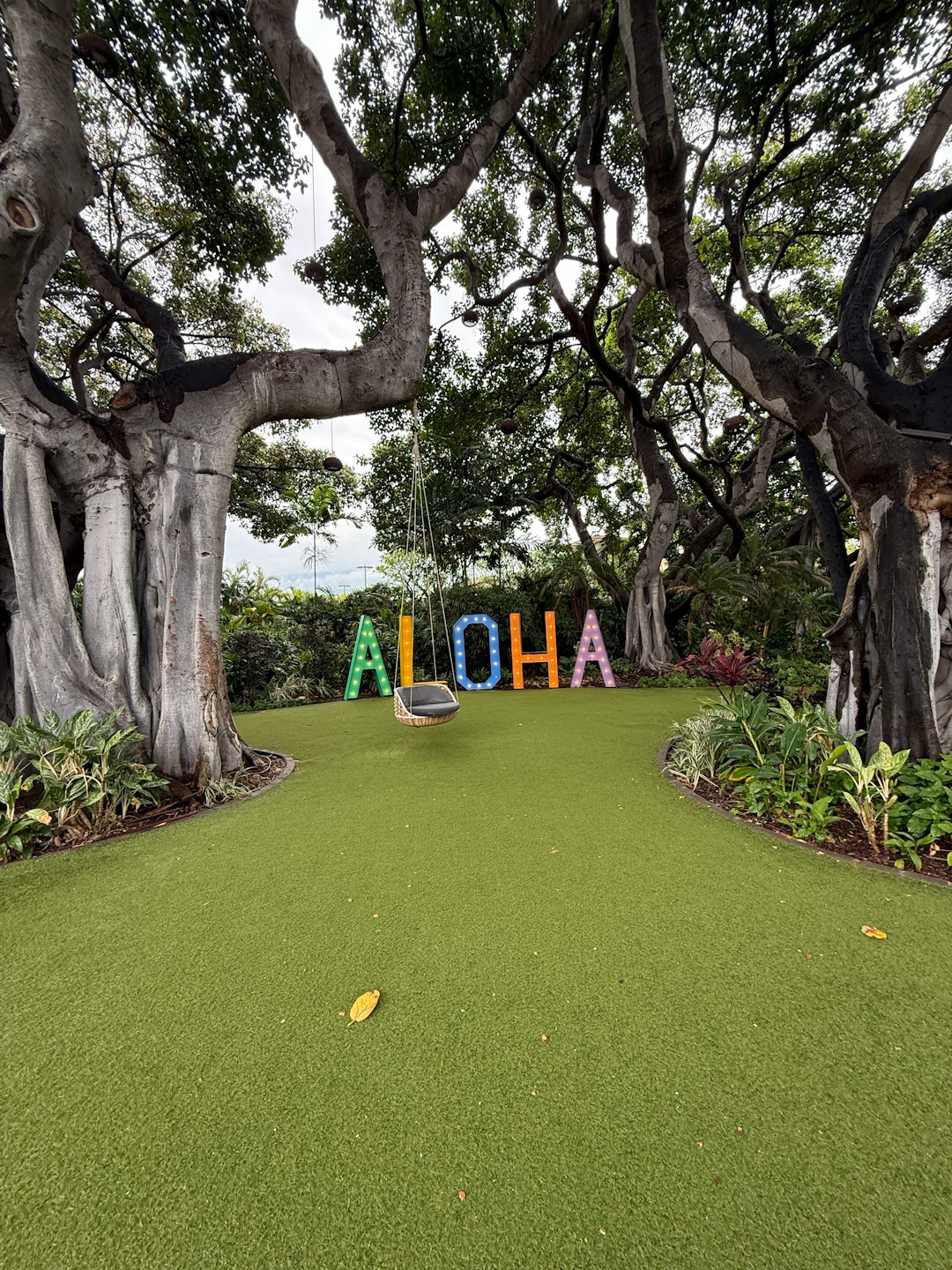 Colorful aloha sign and swing under large trees
