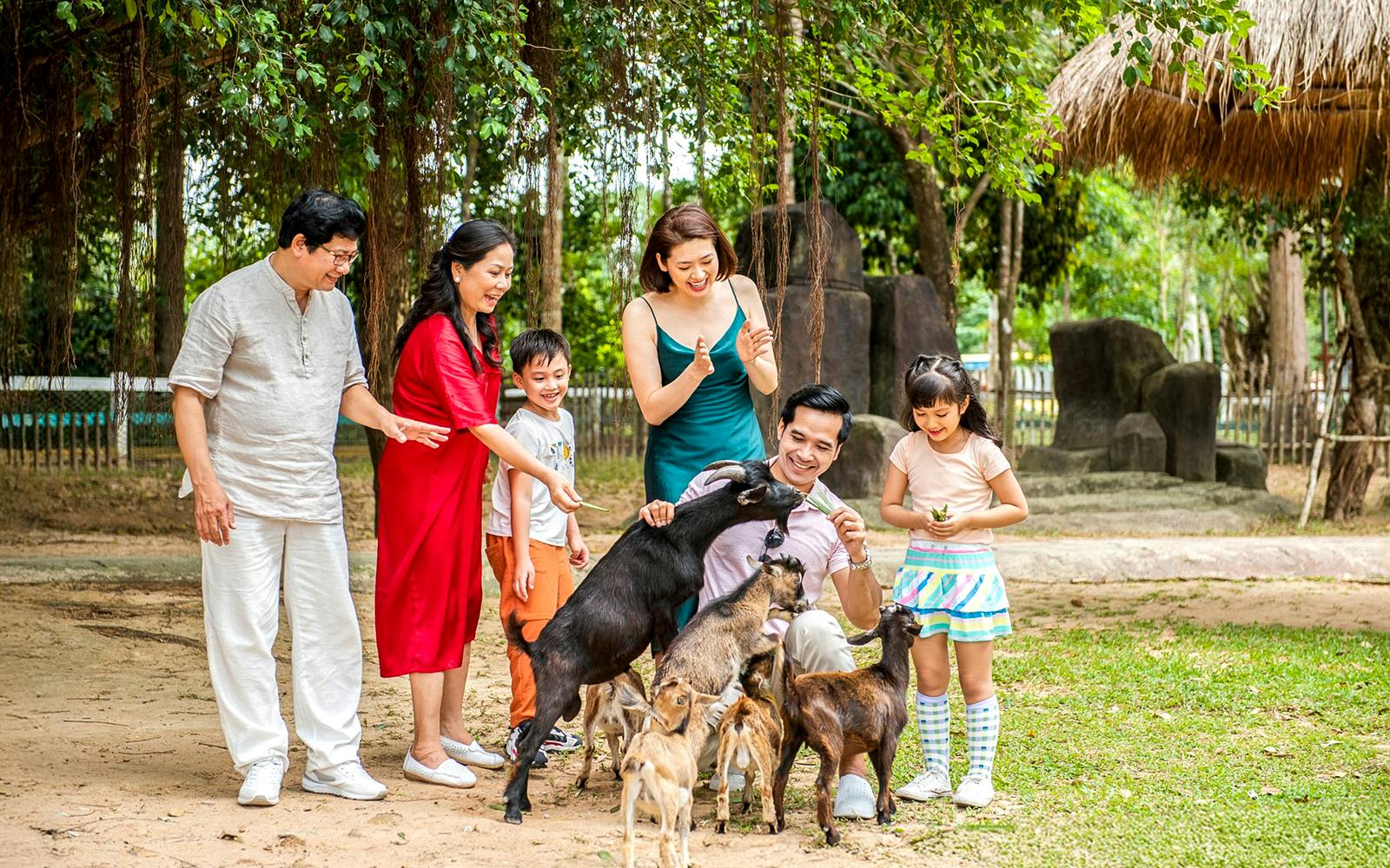 Guests feeding goats at Vinpearl Safari, Vietnam.