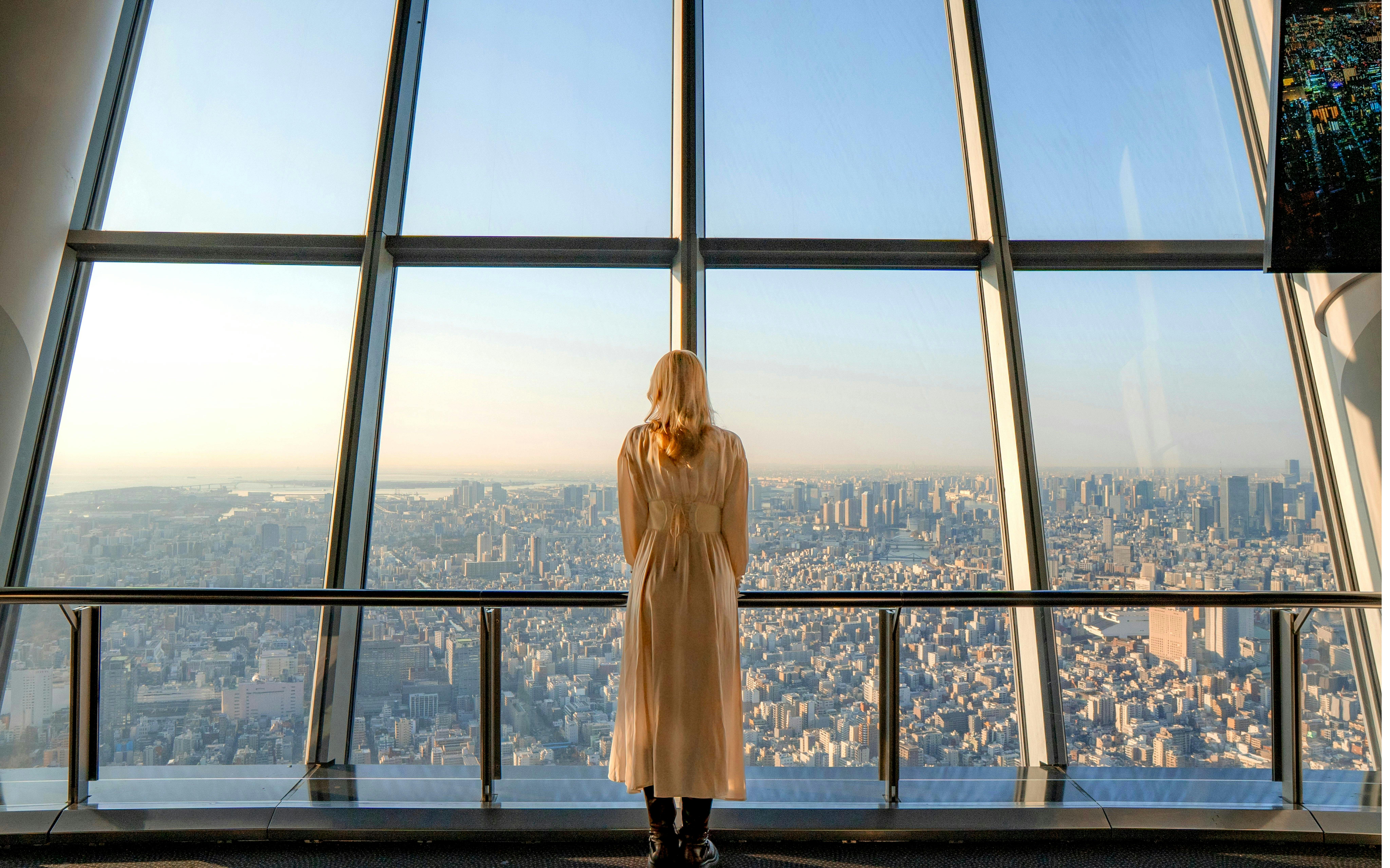 Person viewing Tokyo skyline from Tokyo Skytree observation deck.