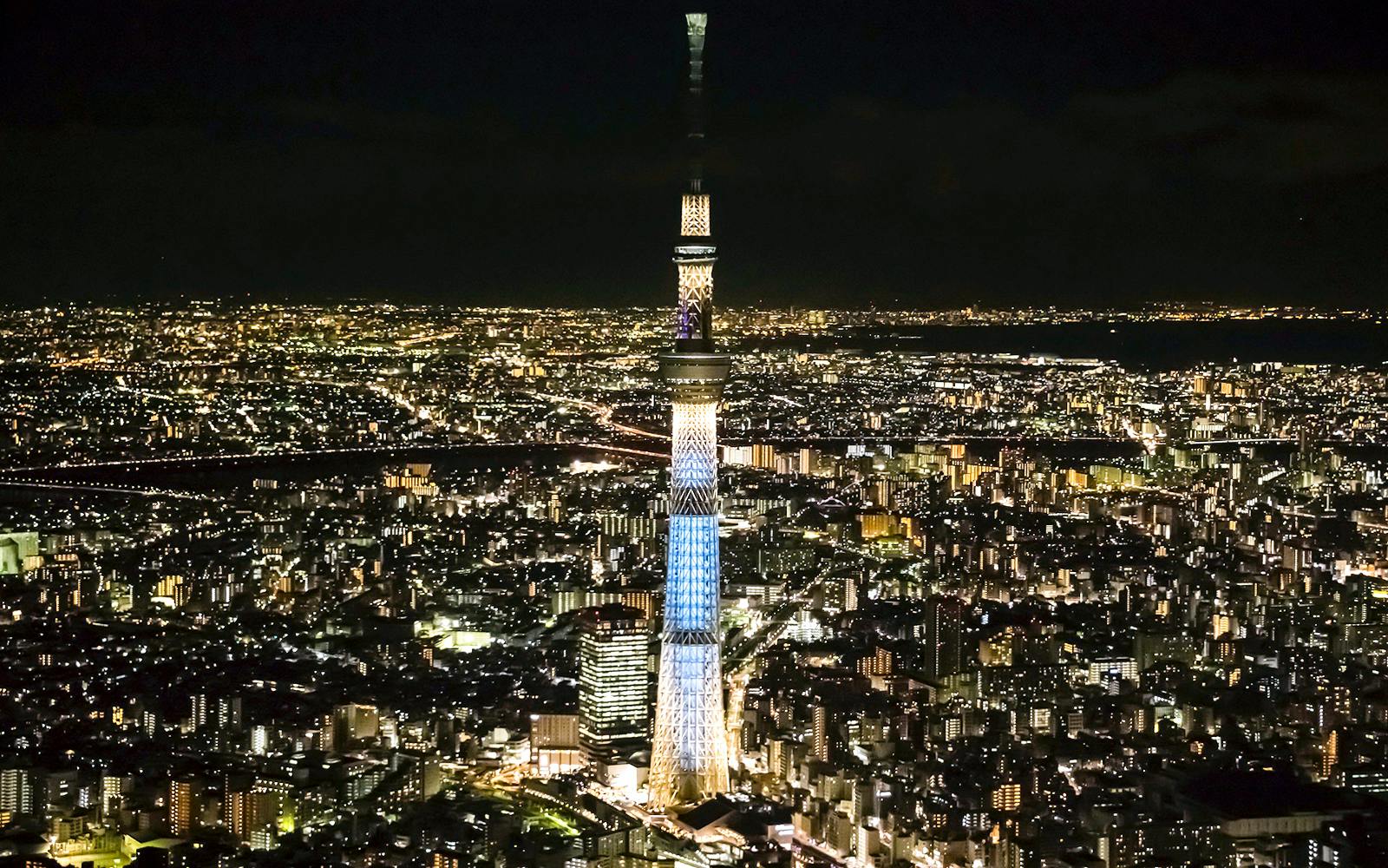 Tokyo Skytree illuminated at night with city lights in the background.