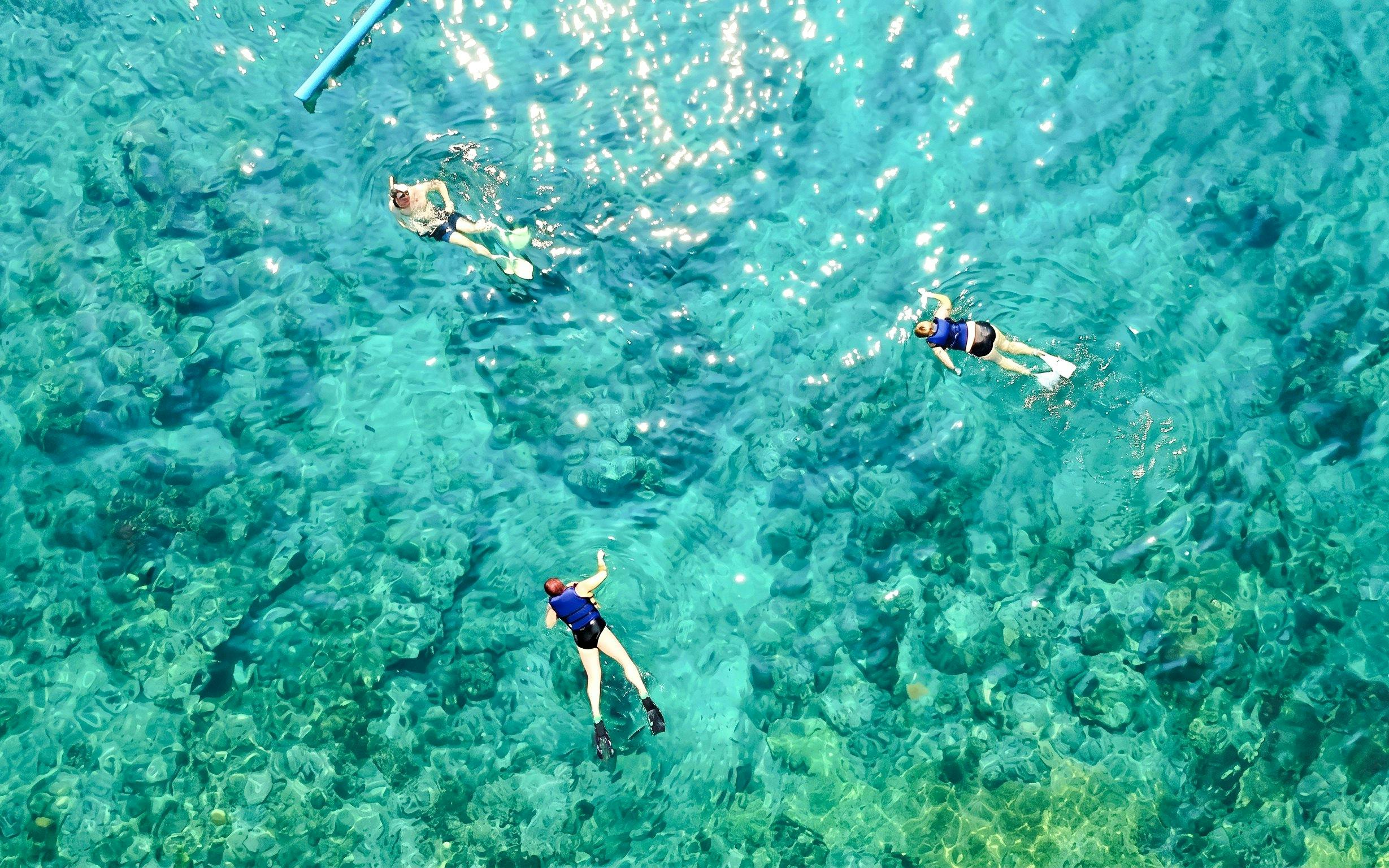 Snorkelers in clear waters near Ile aux Cerfs during catamaran tour from Pointe Jerome.