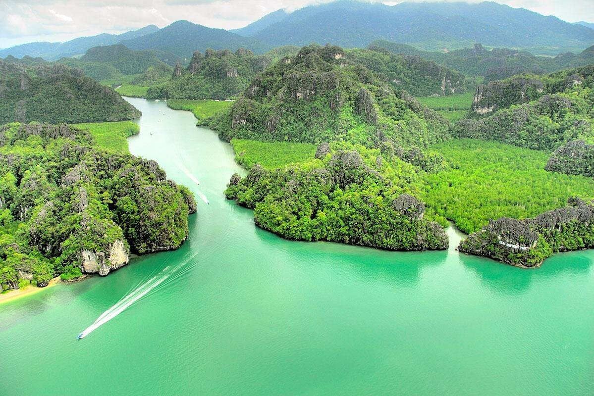 Mangrove & Cave Exploring Tour Langkawi