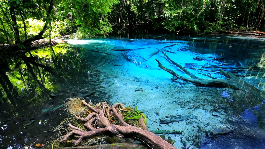 Krabi: Emerald Pool and Hot Springs Waterfall Half-Day Trip