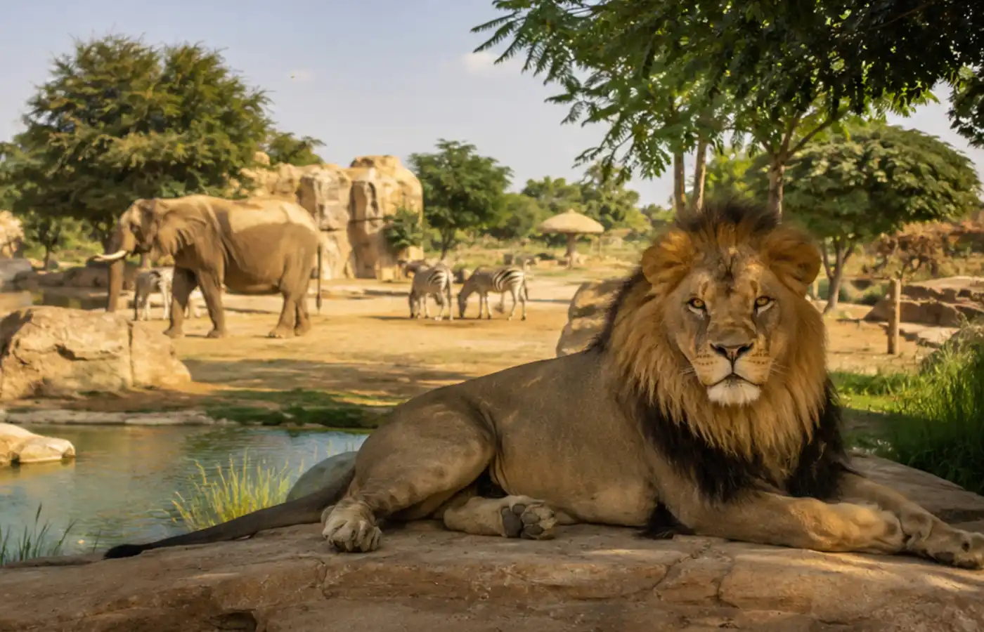 Dubai Safari Park