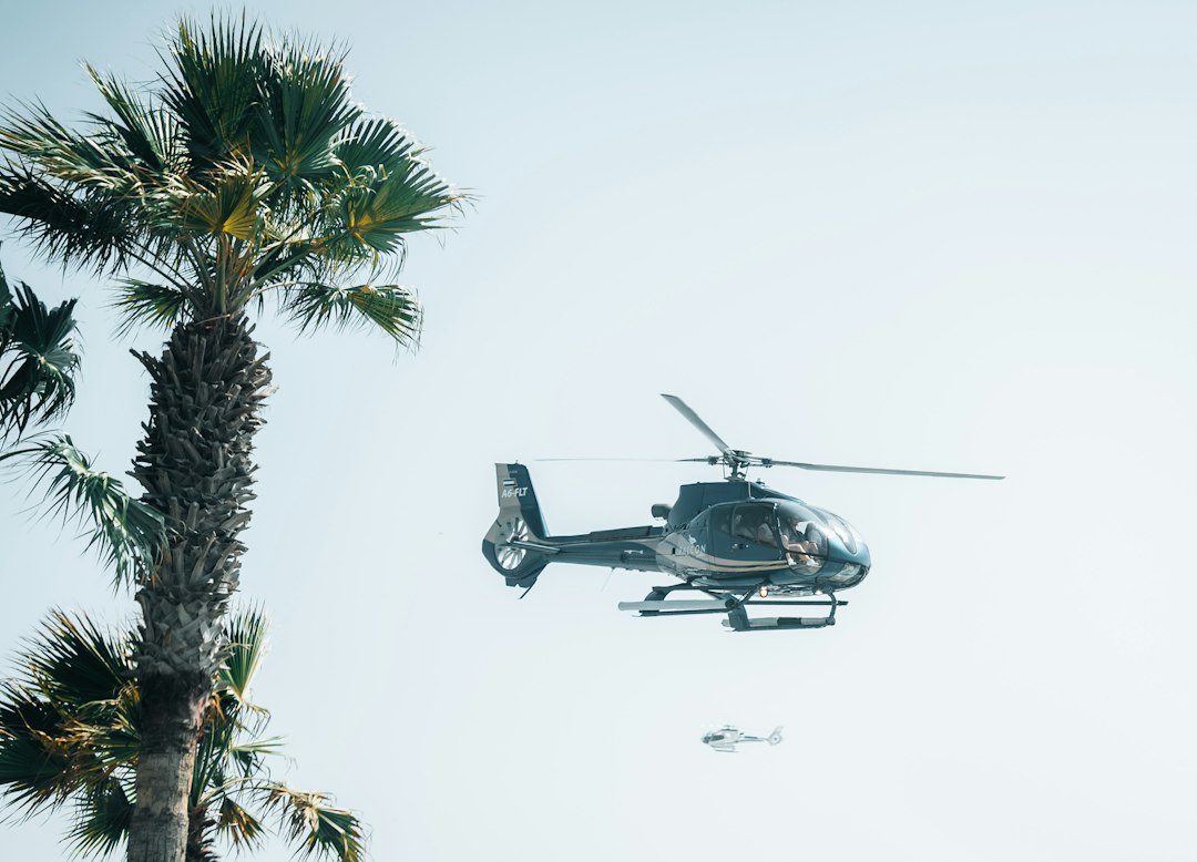 A helicopter is flying over a palm tree
