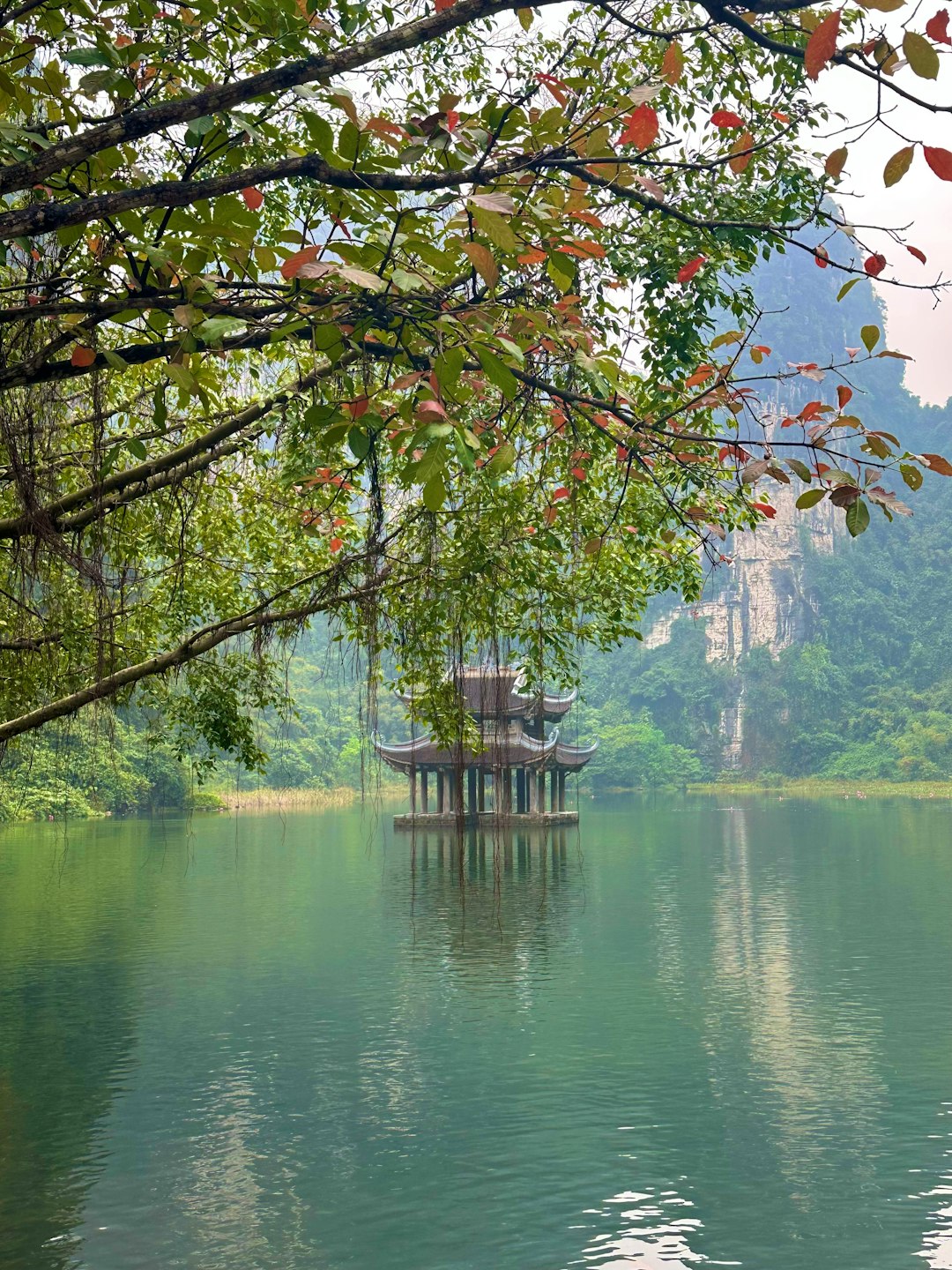 A body of water surrounded by trees and mountains