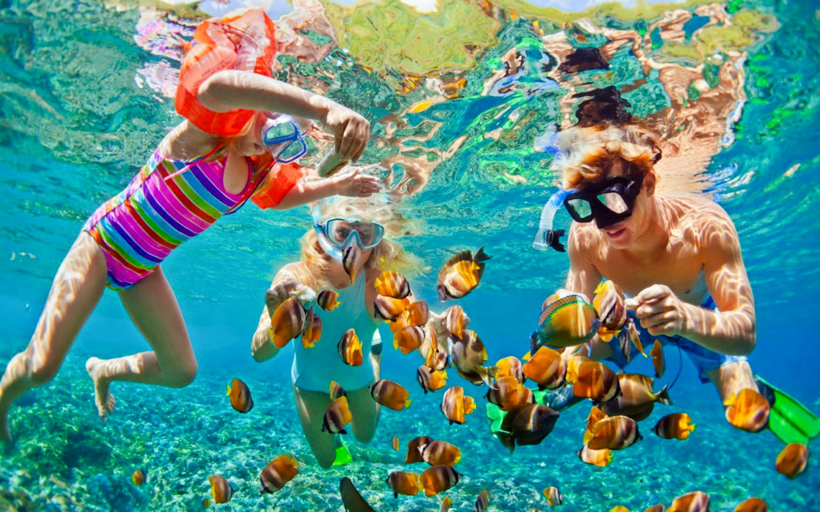 Cham Island Land tour (07:30 - 15:30 Hrs)