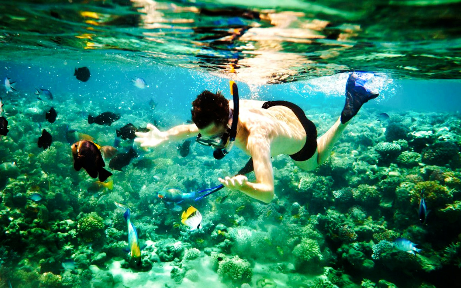 cham island snorkeling tour with lunch from da nang or hoi an-2