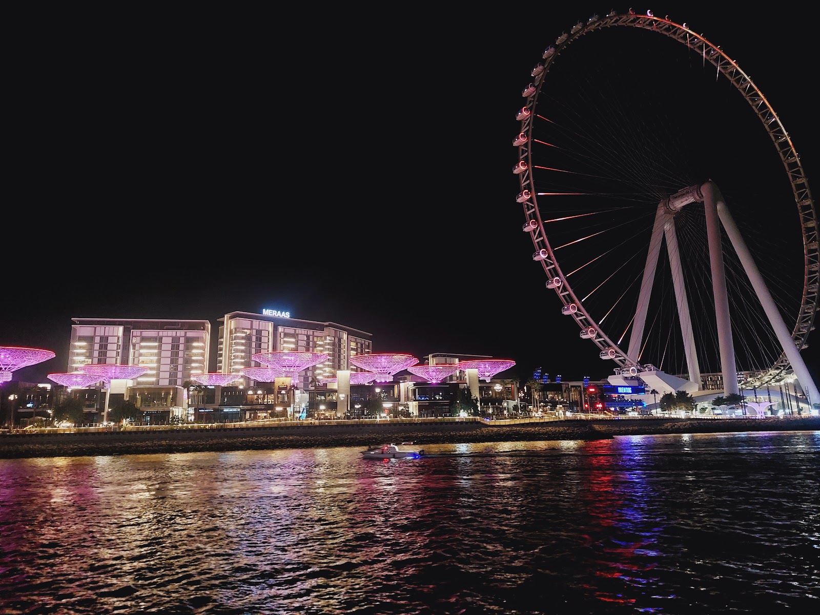 Marina Dhow Cruise