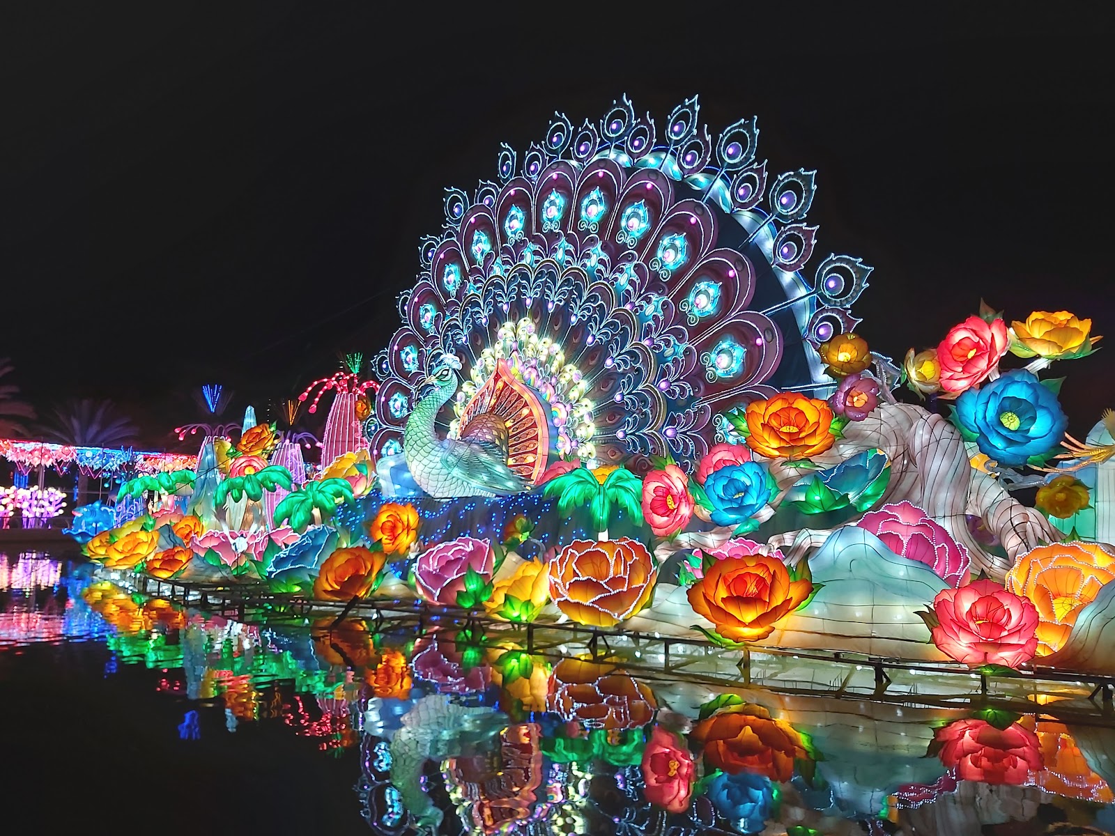 Dubai Garden Glow