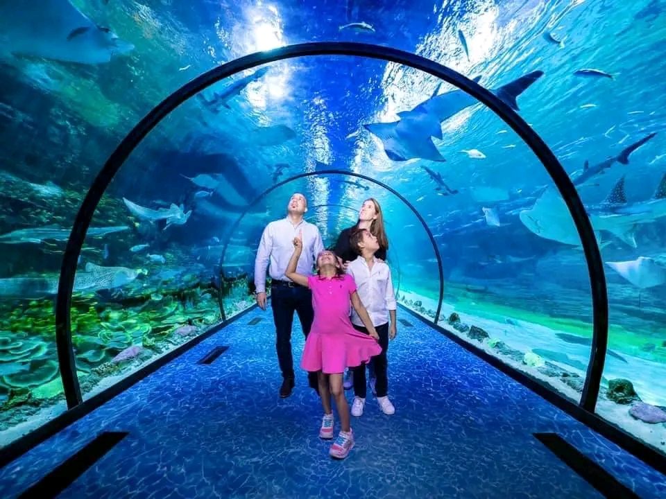 National Aquarium Abu Dhabi