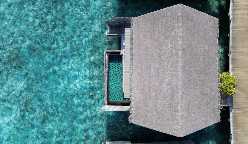 One Bedroom Overwater Pool Villa