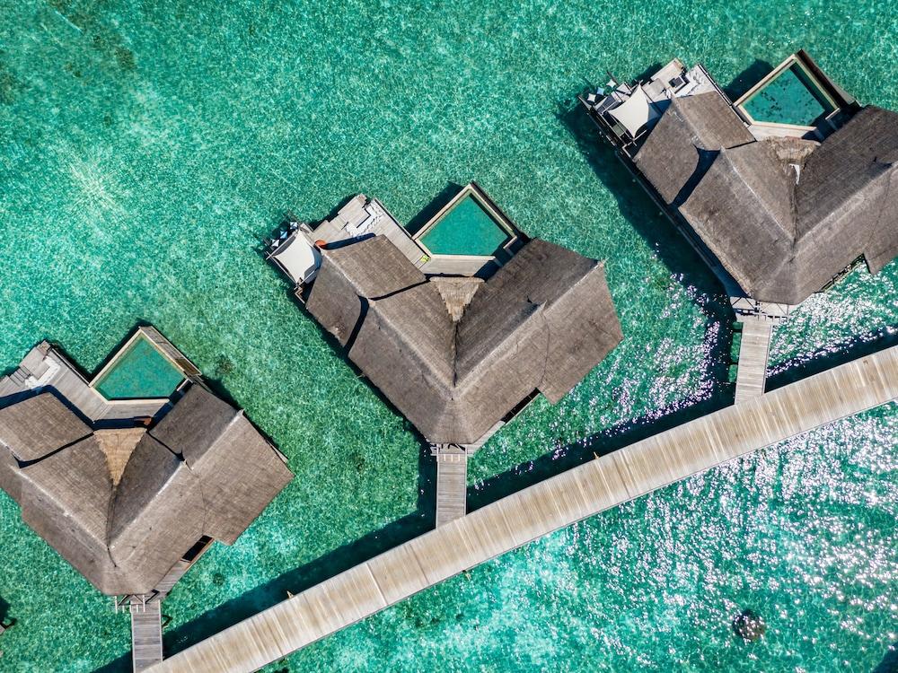 Ocean Suite with Private Pool